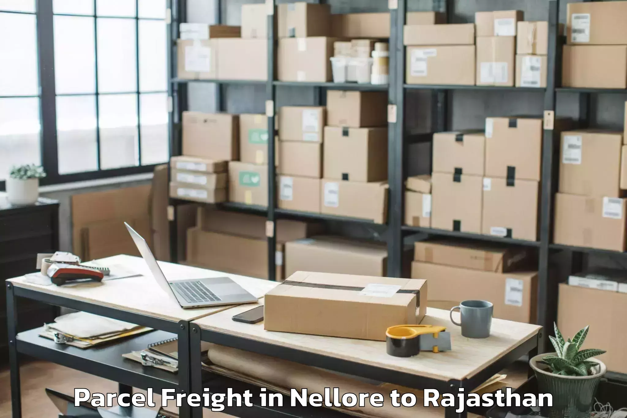 Easy Nellore to Chhoti Sadri Parcel Freight Booking